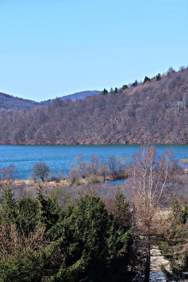Drozdowka Nad Solina - Chata Z Kominkiem Esterno foto